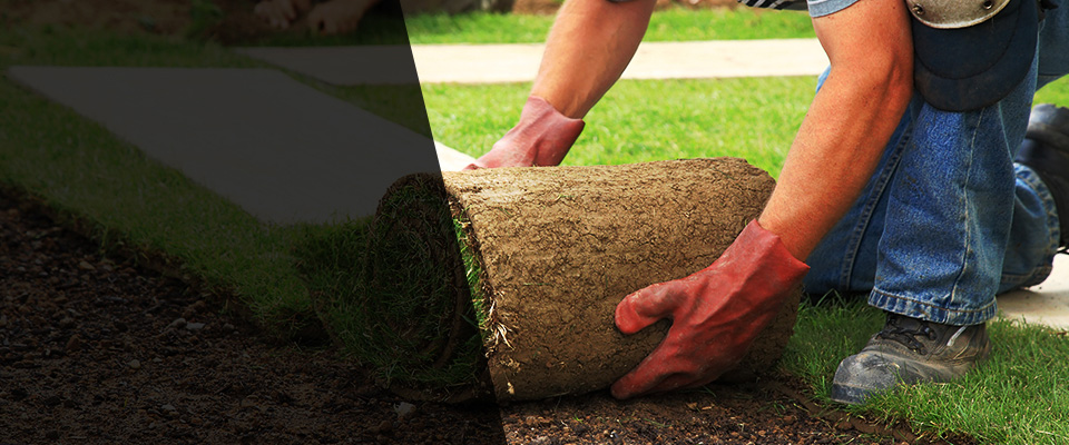 Whiteman Air Force Base Landscapers